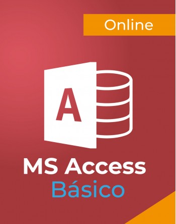 Access Básico Online