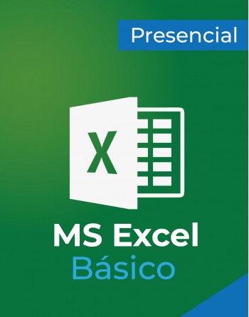 Excel Básico Presencial
