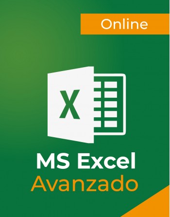 Excel Avanzado Online