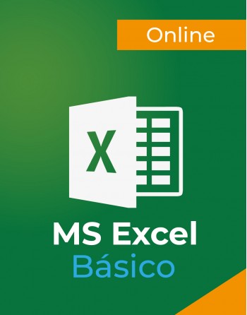 Excel Básico Online